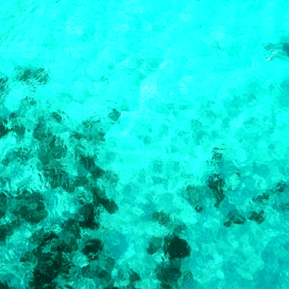 Meet your Posher, Cody